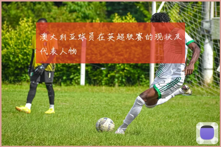 澳大利亚球员在英超联赛的现状及代表人物