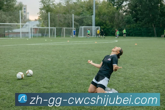 世界杯买球服务体系